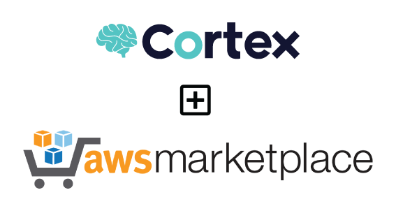 TheHive and Cortex on AWS — AMI tutorials part 3a: Launching Cortex manually with the AWS console